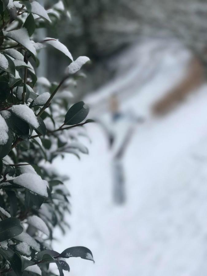 Tarao No Ie Villa Minamiyamashiro Bagian luar foto